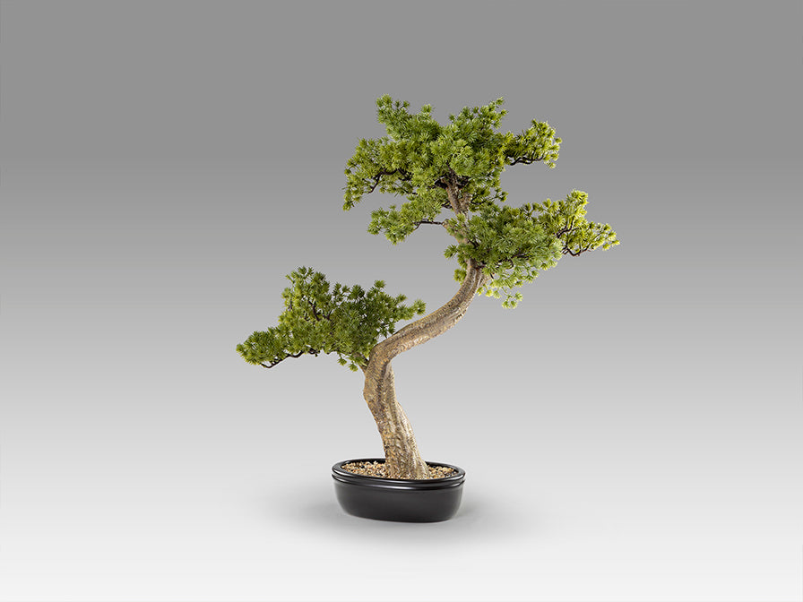 Bankan II