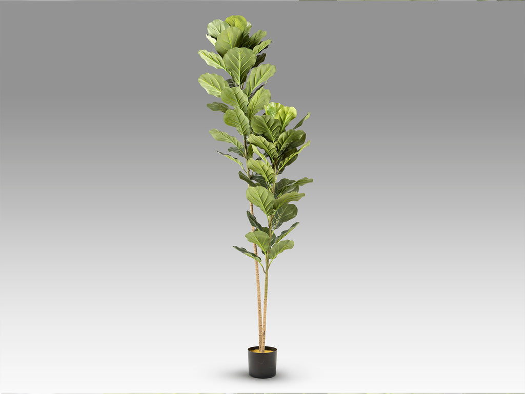 Higuera Violin